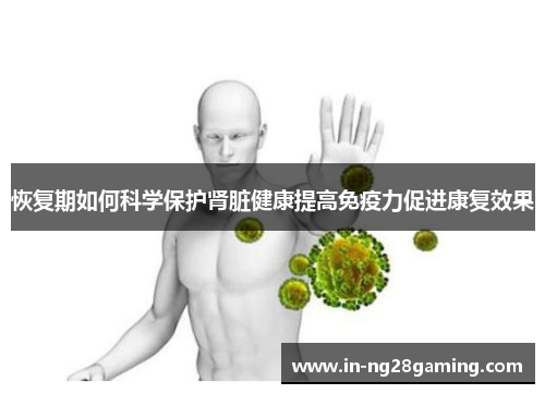 恢复期如何科学保护肾脏健康提高免疫力促进康复效果