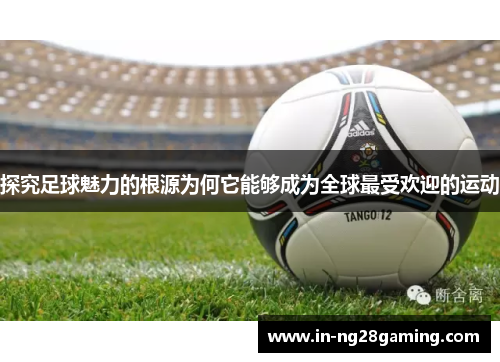 探究足球魅力的根源为何它能够成为全球最受欢迎的运动