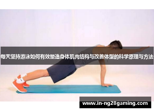 每天坚持游泳如何有效塑造身体肌肉结构与改善体型的科学原理与方法