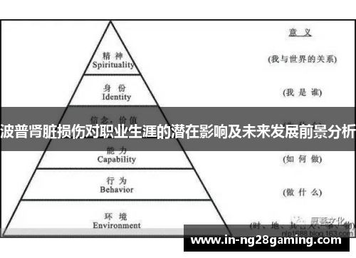 波普肾脏损伤对职业生涯的潜在影响及未来发展前景分析