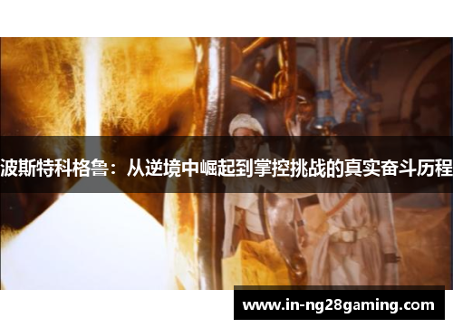 波斯特科格鲁：从逆境中崛起到掌控挑战的真实奋斗历程