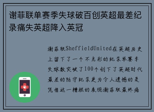 谢菲联单赛季失球破百创英超最差纪录痛失英超降入英冠
