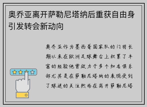 奥乔亚离开萨勒尼塔纳后重获自由身引发转会新动向