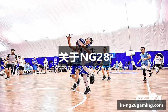 关于NG28